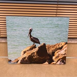 Pelican Canvas Art with Ocean View
